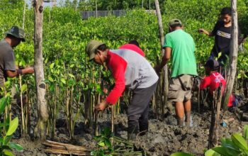 LindungiHutan Ajak Masyarakat Berperan Aktif Melestarikan Hutan dalam Program Sedekah Pohon