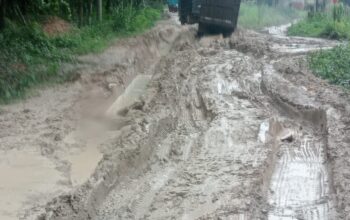 Masyarakat Kecamatan Cengal keluhkan jalan rusak, aktifis OKI Angkat Bicara