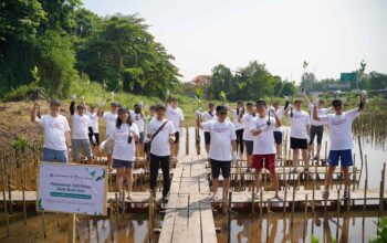 Komitmen Keberlanjutan Bank Bumi Arta Tanam 500 Mangrove di Pantai Indah Kapuk